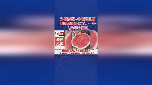 外网看中国吃瓜,网络舆论场上的“瓜田”风云