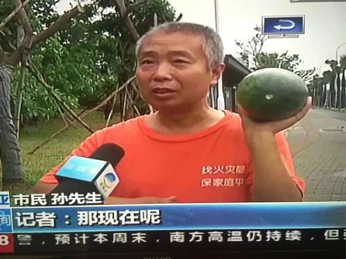 吃瓜群众上车事件