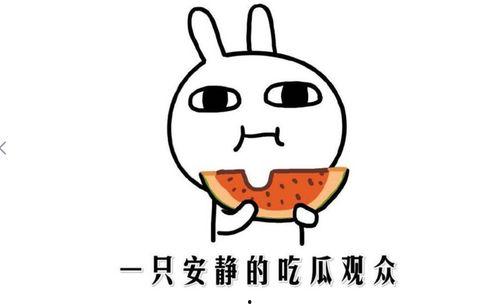 吃瓜群众 吃瓜事件,真相与舆论的碰撞