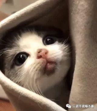 啾咪吃瓜中,揭秘娱乐圈那些不为人知的幕后故事